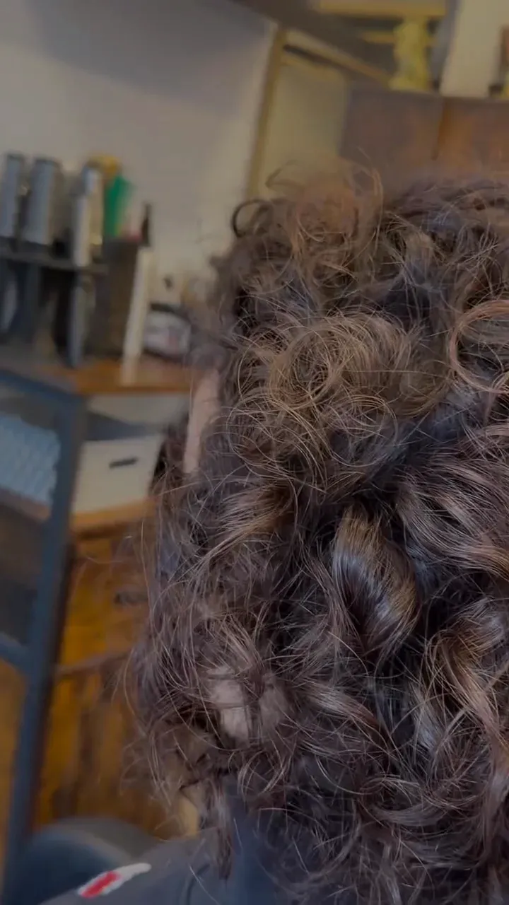 Hair before treatment: curly and dry