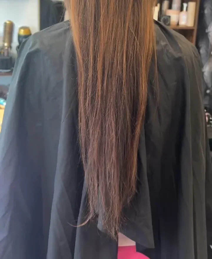 Hair before treatment: porous ends